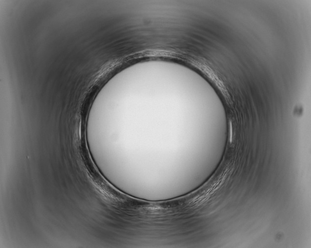 X0000101110253200806261116
