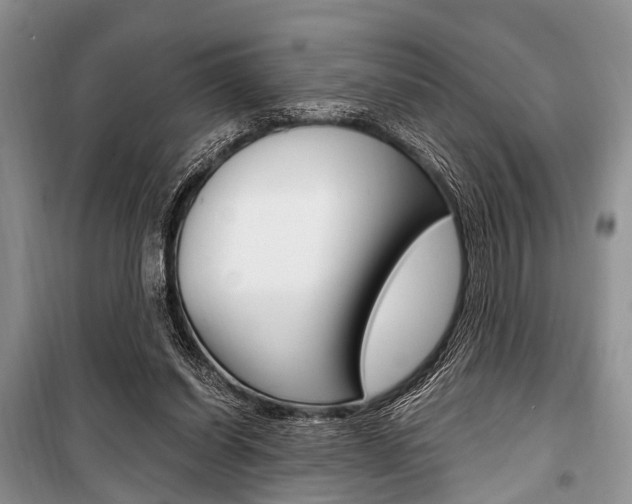 X0000101110254200806261116