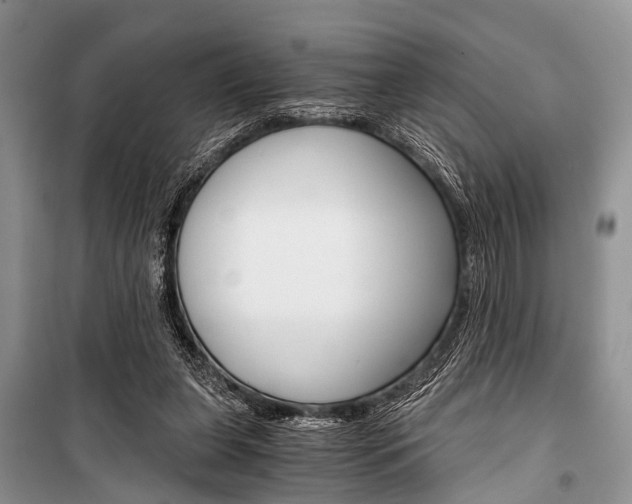 X0000101110255200806261116