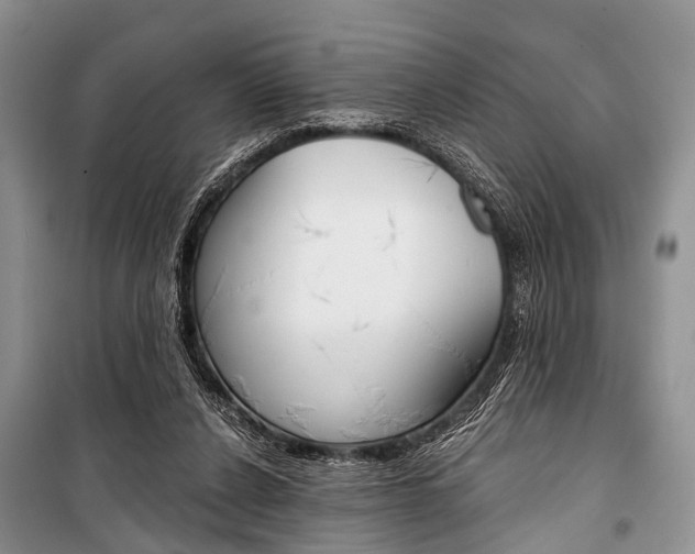 X0000101110256200806261116