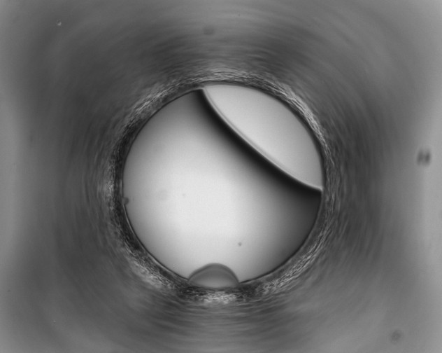 X0000101110257200806261116