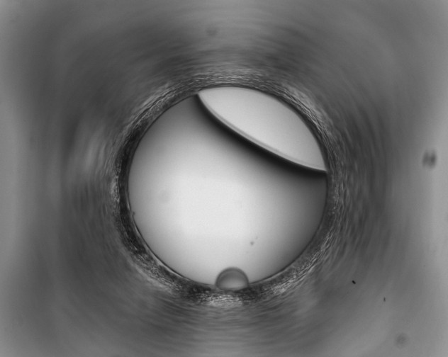 X0000101110258200806261116