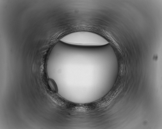 X0000101110259200806261116