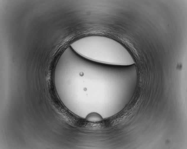 X0000101110260200806261116