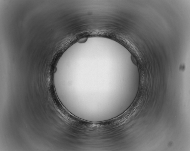 X0000101110261200806261116
