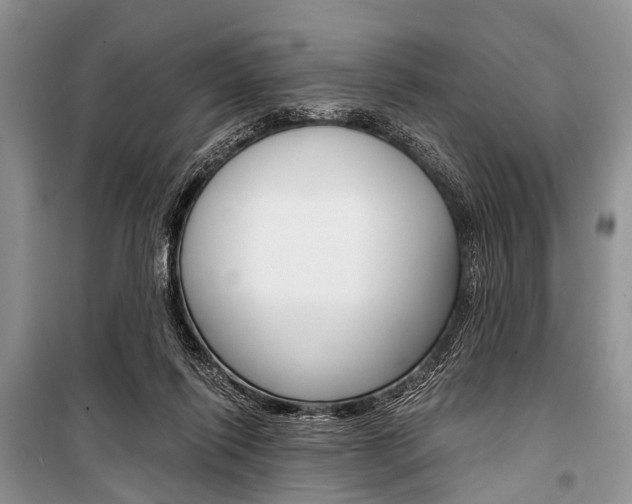 X0000101110262200806261116