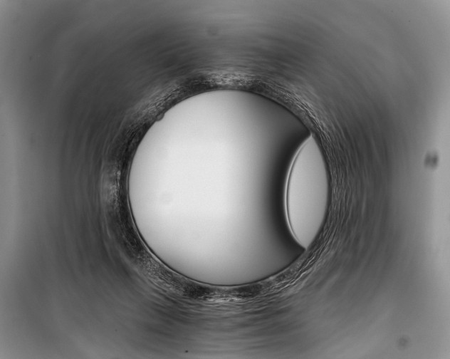 X0000101110263200806261116