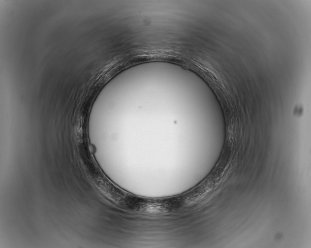 X0000101110264200806261116