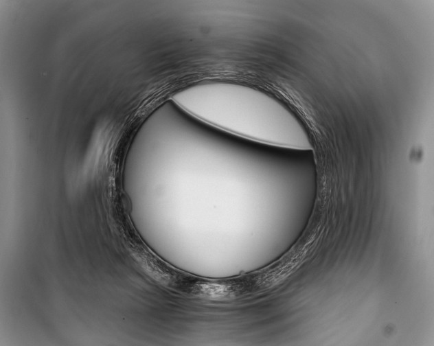 X0000101110265200806261116