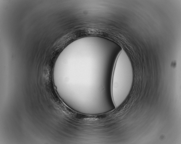 X0000101110266200806261116