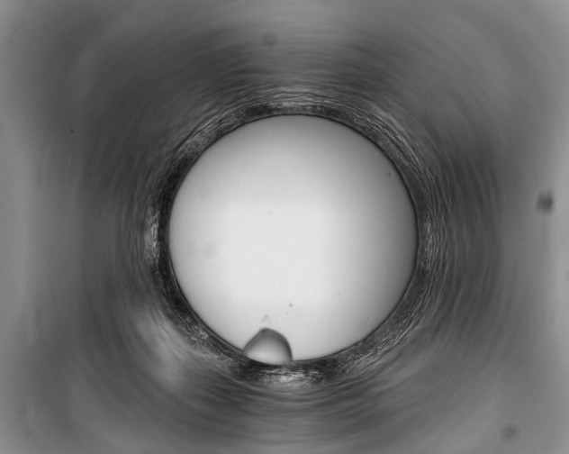 X0000101110267200806261116