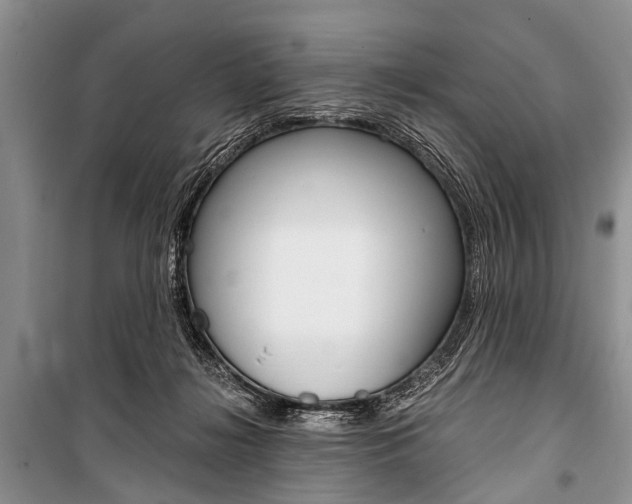X0000101110268200806261116