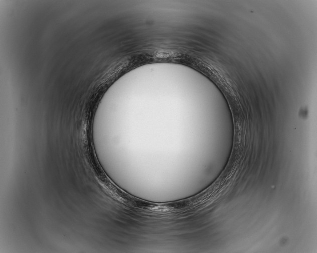 X0000101110269200806261116