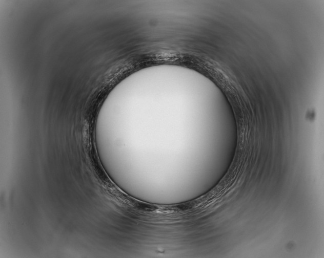 X0000101110270200806261116