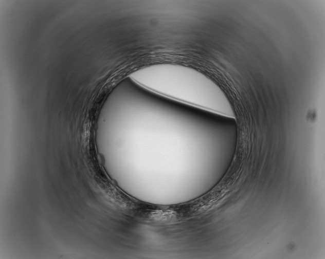 X0000101110271200806261116