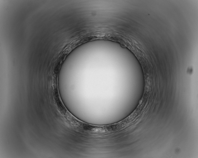 X0000101110272200806261116