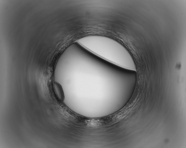 X0000101110273200806261116