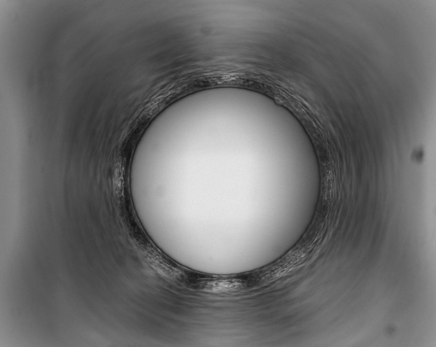X0000101110274200806261116
