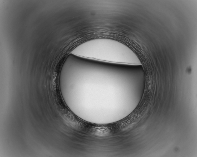 X0000101110275200806261116
