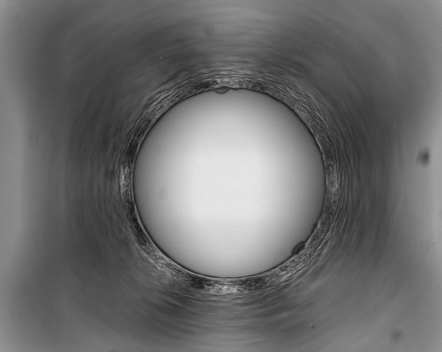 X0000101110276200806261116