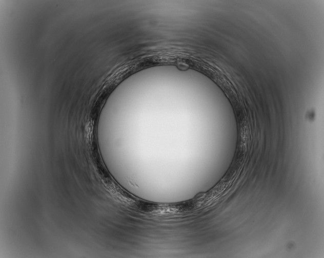 X0000101110278200806261116