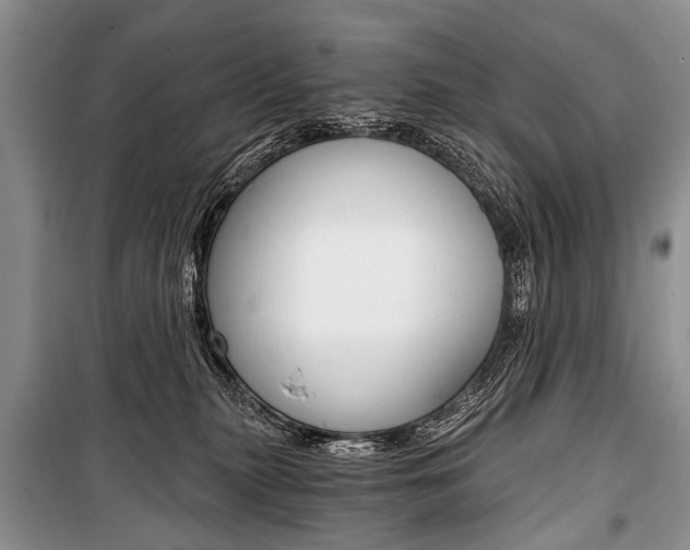 X0000101110279200806261116