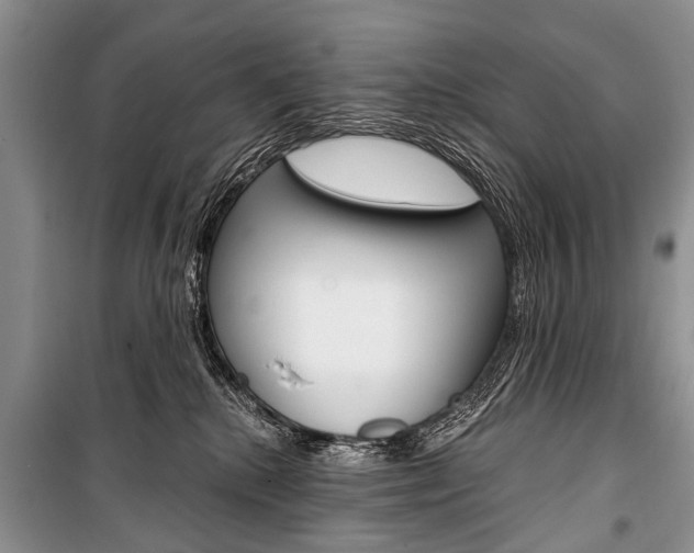 X0000101110280200806261116