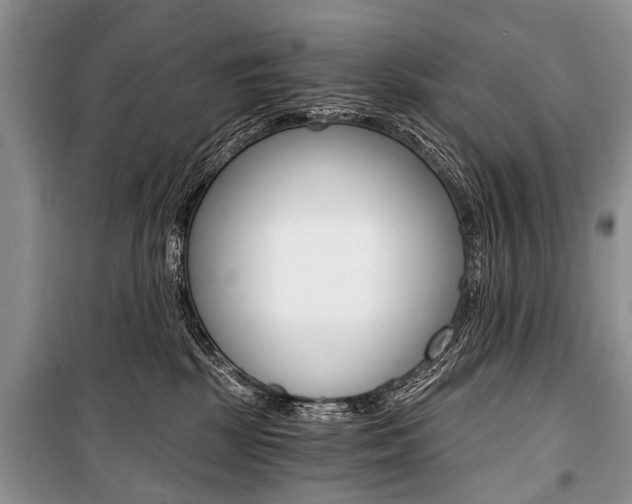 X0000101110281200806261116