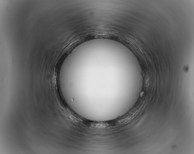 X0000101110282200806261116