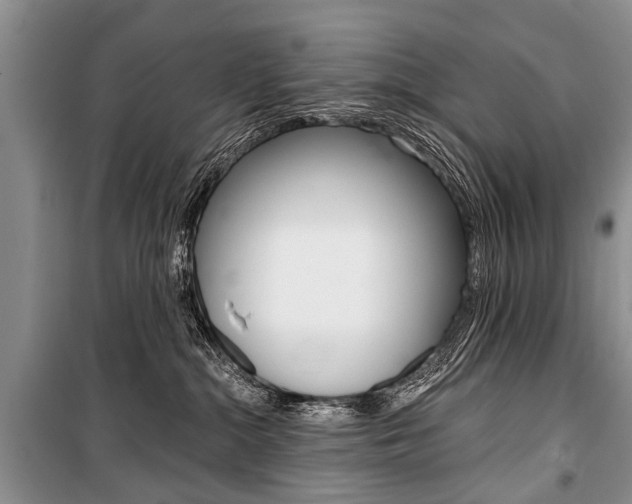 X0000101110284200806261116