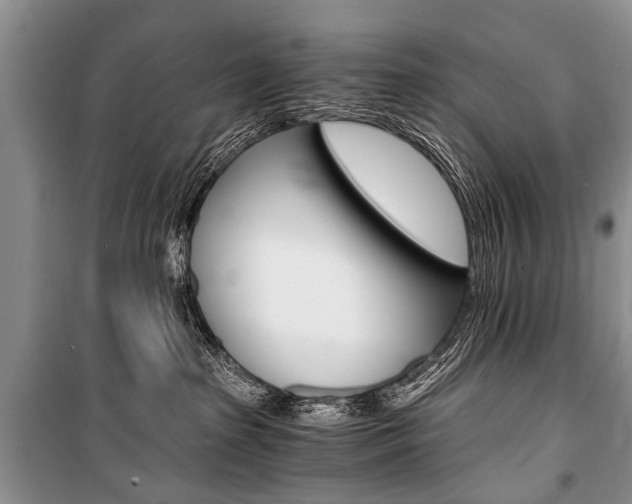 X0000101110285200806261116