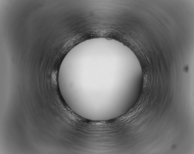 X0000101110286200806261116