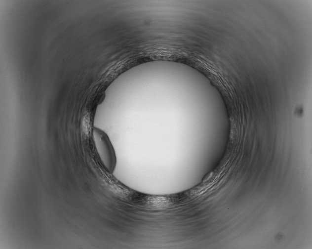 X0000101110287200806261116