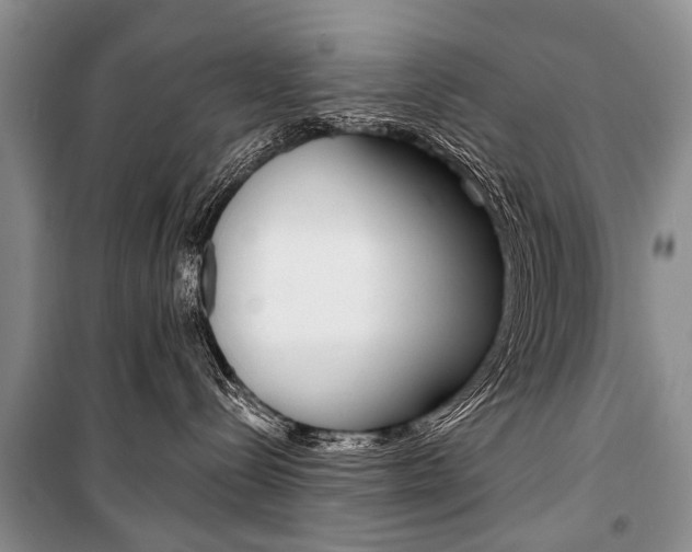 X0000101110288200806261116