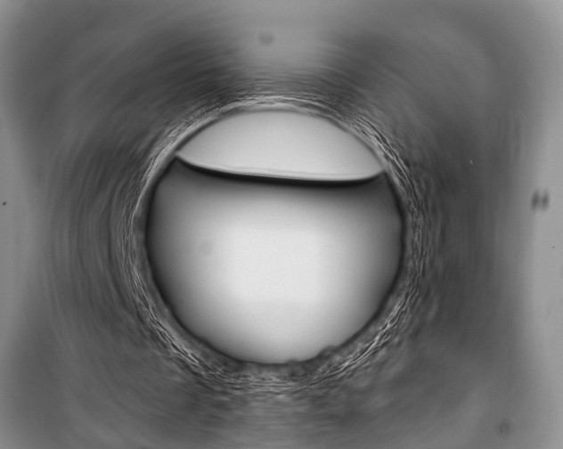 X0000101110289200806261116