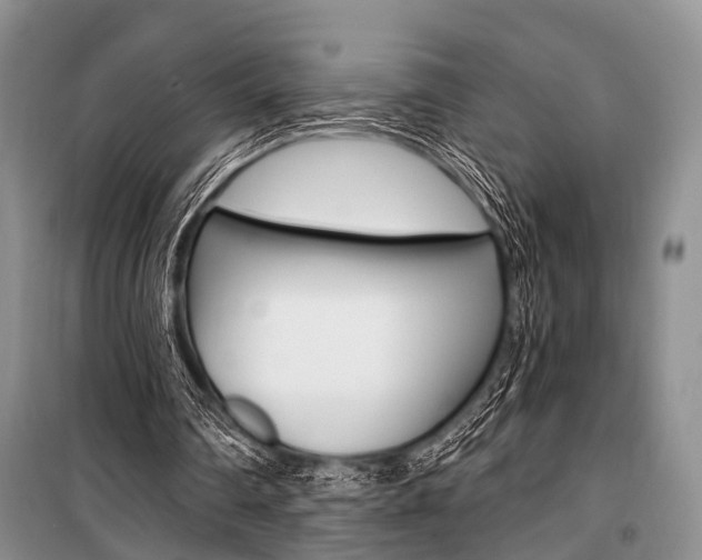 X0000101110290200806261116