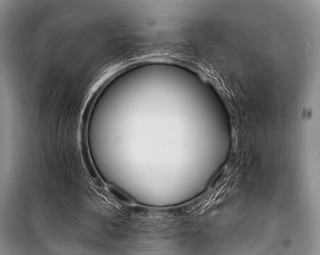 X0000101110292200806261116