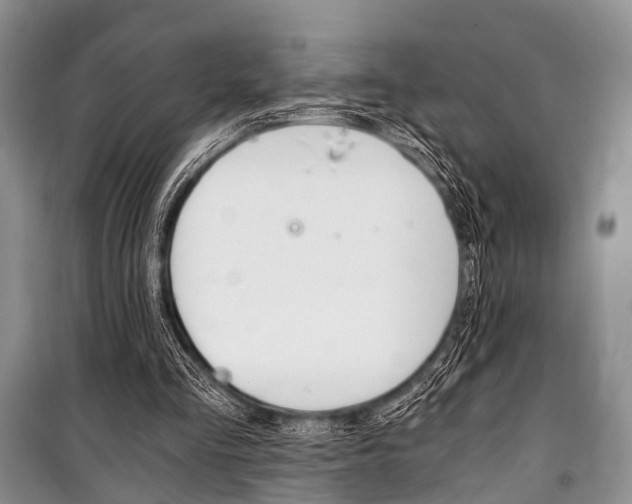 X0000101110293200806261115