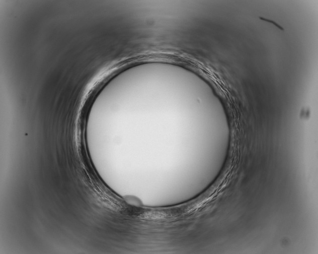 X0000101110294200806261115