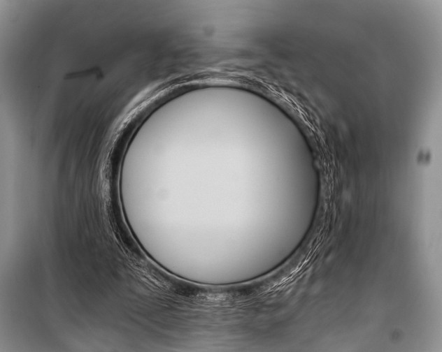 X0000101110295200806261115