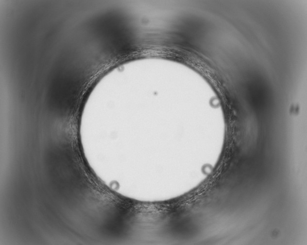X0000101110297200806261115