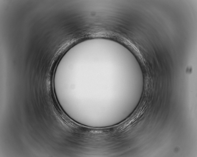 X0000101110298200806261115