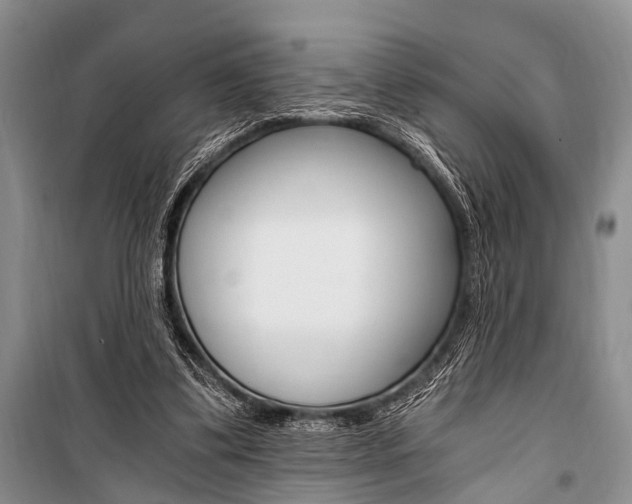 X0000101110299200806261115