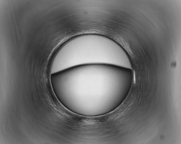 X0000101110300200806261115