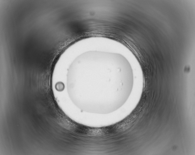 X0000101110301200806261115