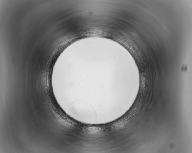 X0000101110302200806261115