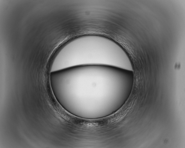 X0000101110304200806261115
