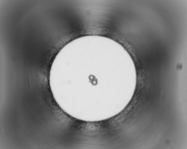 X0000101110305200806261115