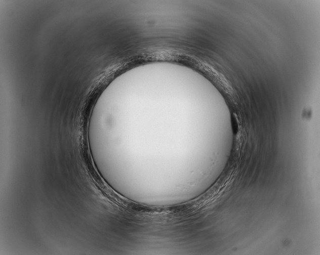 X0000101110306200806261115