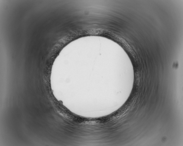 X0000101110307200806261115
